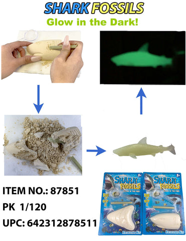 FOSSILS SHARK DIY KIT