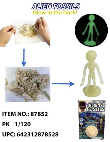 FOSSIL UFO ALIEN DIY KIT